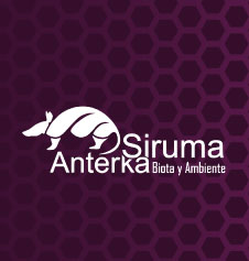 LOGOSIRUMA