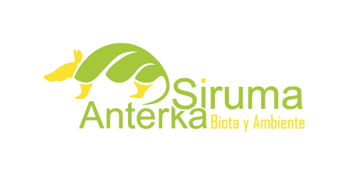 logoinf