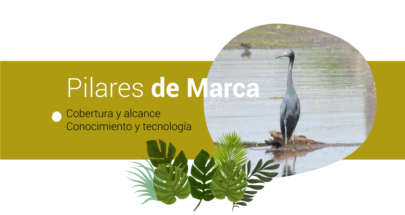 pilares